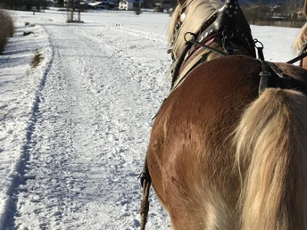 Kutschfahrt - Winter