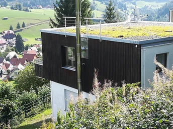 Ferienhaus Frey Haus in Sommer