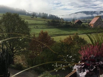 SchwarzWild, Aussicht_Balkon_Südwest, Herr Jürgen