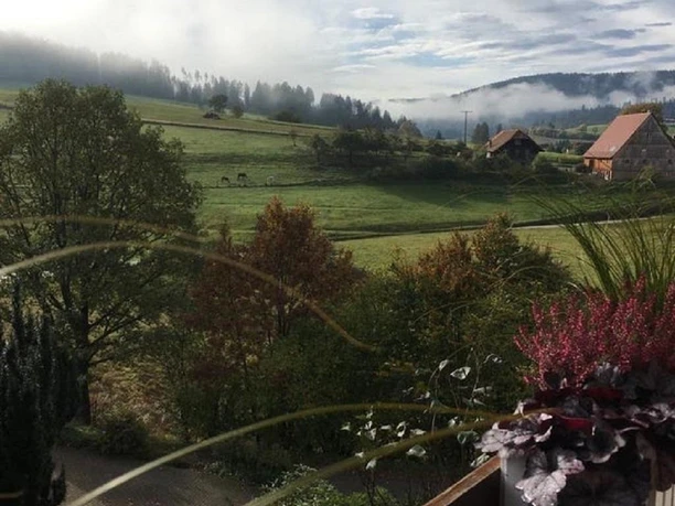 SchwarzWild, Aussicht_Balkon_Südwest, Herr Jürgen