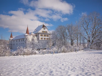 schloss wyher-ettiswil-willisau tourismus-priska ziswiler-en-2.jpg Wasserschloss Wyher im Winter
