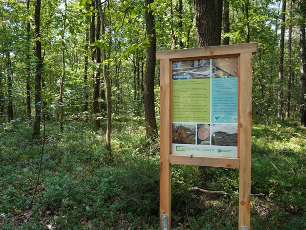 Infotafel Holznutzungspfad Infotafel des Holznutzungspfad mit dem Inhalt der Nutzungsmöglichkeiten des Holzes