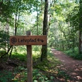 Waldlehrpfad Wegweiser des Waldlehrpfads im Forst Elm