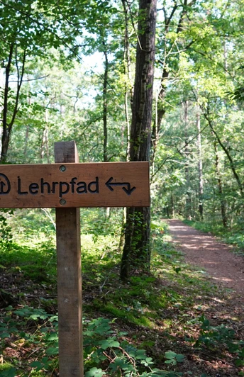 Waldlehrpfad Wegweiser des Waldlehrpfads im Forst Elm