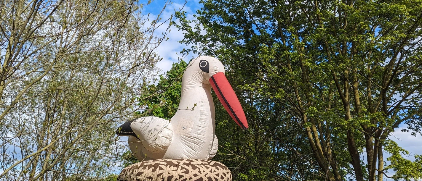 Storchenfest Nabu Leiferde.jpg