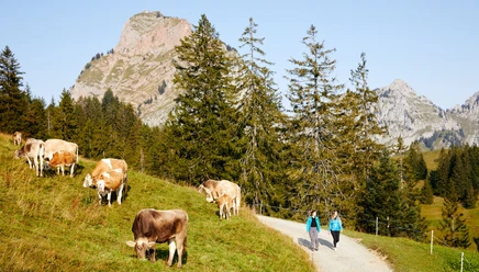 Zwei Frauen wandern auf Wanderweg Richtung Alpwirtschaft Zwäcken