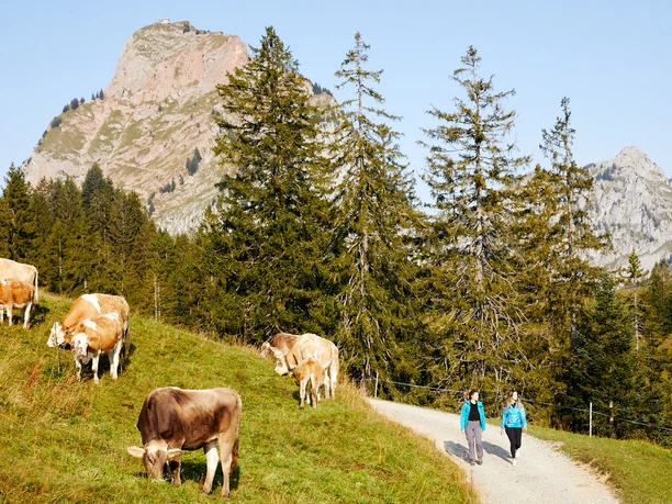 Zwei Frauen wandern auf Wanderweg Richtung Alpwirtschaft Zwäcken