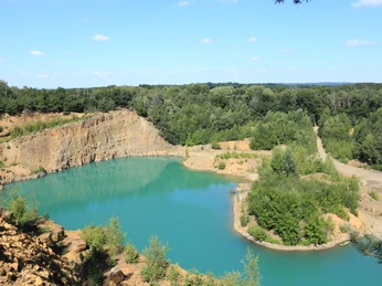 Inaktive Steinbrüche werden zu neuen Lebensräumen