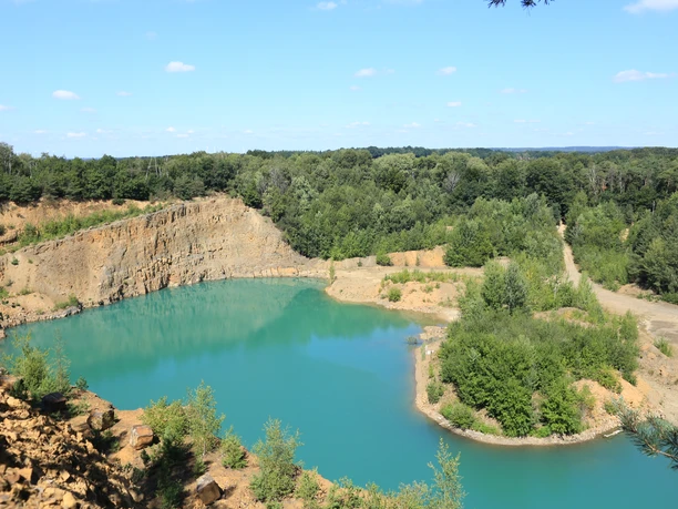 Inaktive Steinbrüche werden zu neuen Lebensräumen