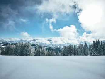 Aktivitaeten-Naturgebiete-Napf-Willisau-Winter-Rita Pauchard-EN-6.jpg Napf im Winter