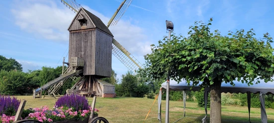 Historische Bockwindmühle Wehe auf grüner Wiese, umgeben von Blumen und Bäumen unter blauem Himmel.