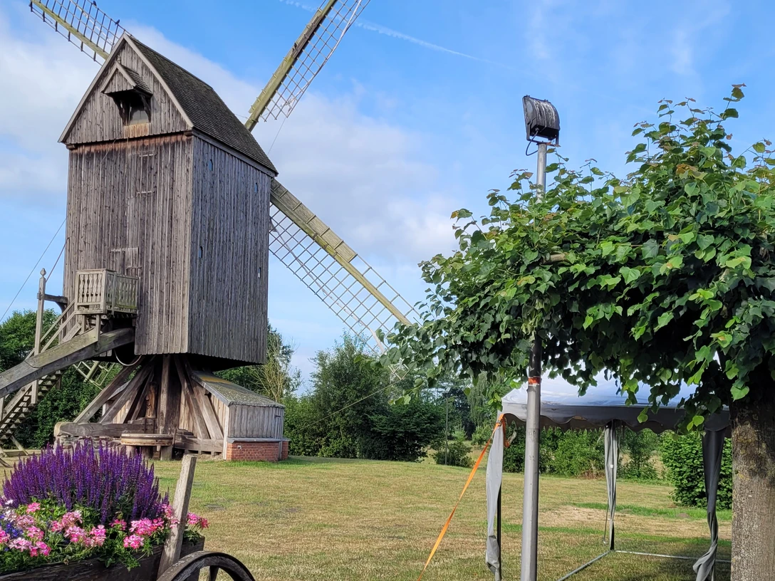 Bockwindmühle Wehe Historische Bockwindmühle Wehe auf grüner Wiese, umgeben von Blumen und Bäumen unter blauem Himmel.
