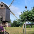 Bockwindmühle Wehe Historische Bockwindmühle Wehe auf grüner Wiese, umgeben von Blumen und Bäumen unter blauem Himmel.