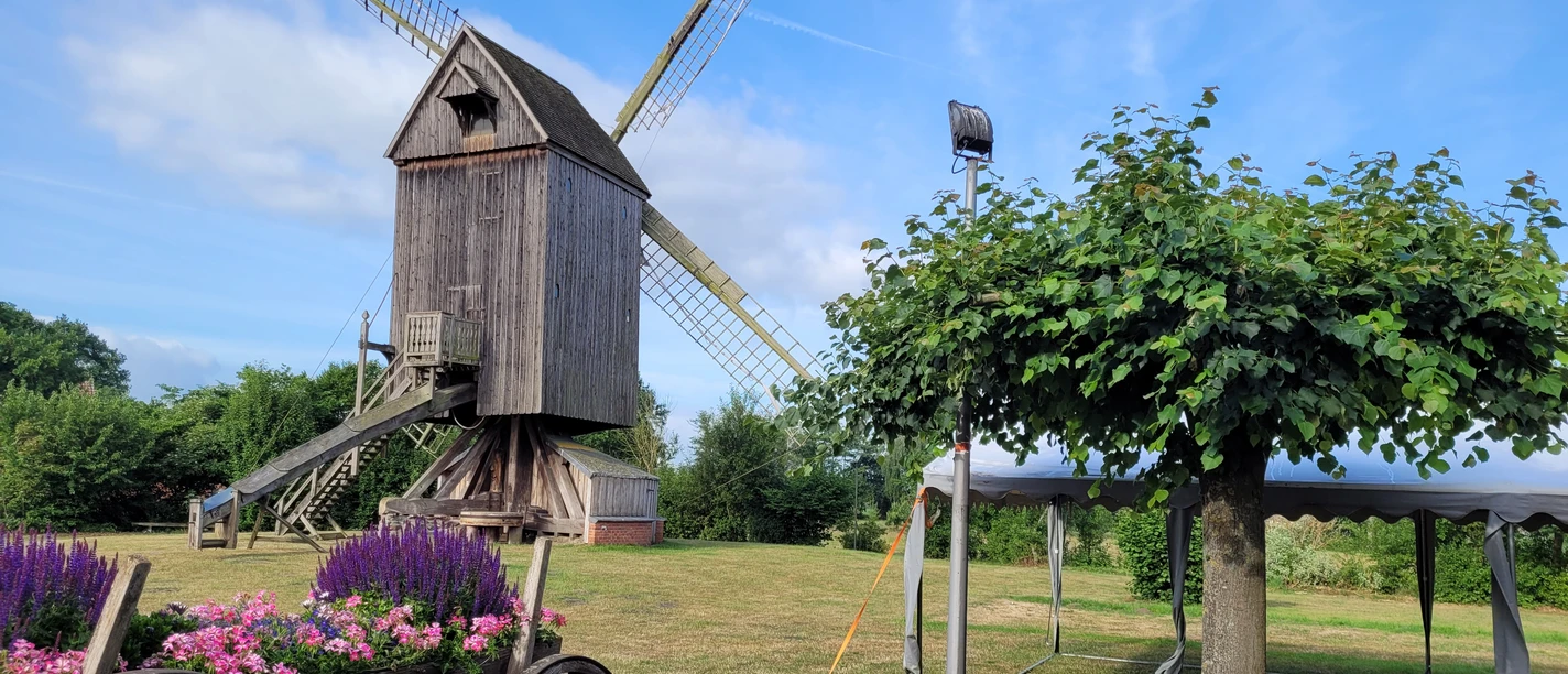 Bockwindmühle Wehe Historische Bockwindmühle Wehe auf grüner Wiese, umgeben von Blumen und Bäumen unter blauem Himmel.