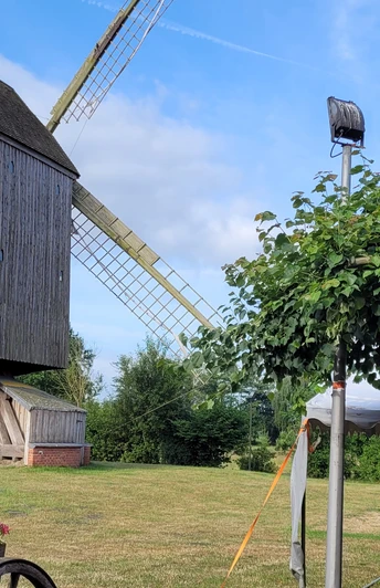 Bockwindmühle Wehe Historische Bockwindmühle Wehe auf grüner Wiese, umgeben von Blumen und Bäumen unter blauem Himmel.