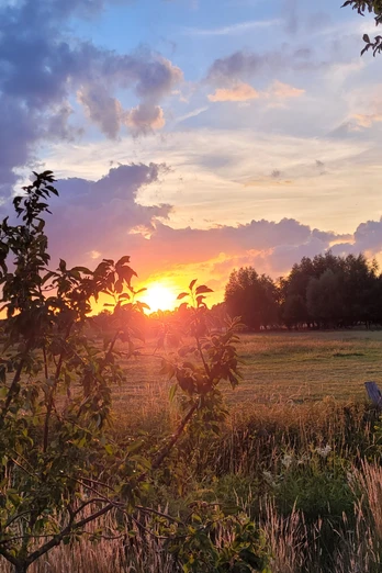 Sonnenuntergang über einer grünen Wiese mit Bäumen und Wolken; warme Farben am Himmel.