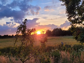 Rahden Stelle Sonnenuntergang über einer grünen Wiese mit Bäumen und Wolken; warme Farben am Himmel.