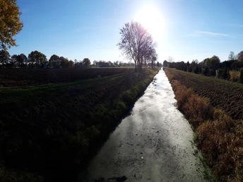 Ein schmaler Flusslauf fließt durch eine flache Landschaft, gesäumt von Bäumen und sonnendurchflutetem Himmel.