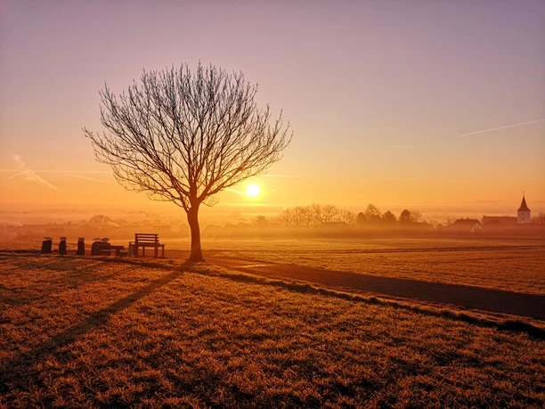 Panoramablick in Wehdem Sonnenaufgang hinter einem kahlen Baum auf einem frostigen Feld mit silhouettierter Kirche am Horizont.