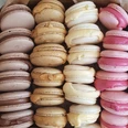 eismacarons.jpg Makronen in zarten Pastellfarben, liebevoll aufgereiht, mit verlockenden Füllungen und knackigen Schalen.