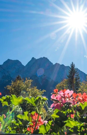 Blick zu Alpspitze und Waxensteine