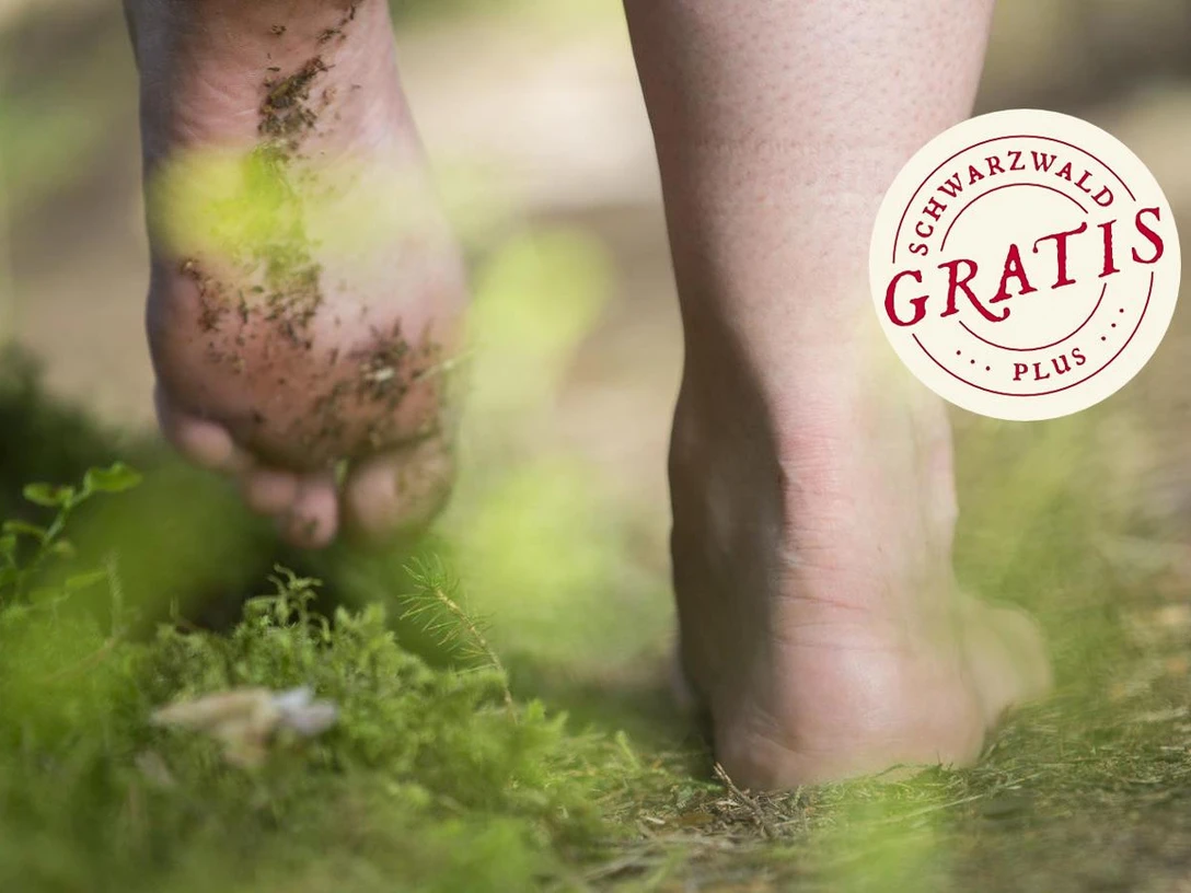 Naturerlebniswanderung Lachspfad