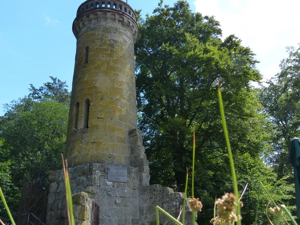 Turm Elfbuchen