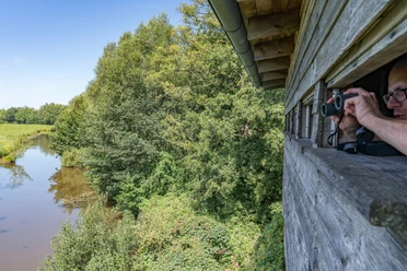 Aussichtsturm am Steinhorster Becken Ein hölzerner Aussichtsturm bietet Blick auf Flusslandschaft mit dichtem grünen Baumbestand.