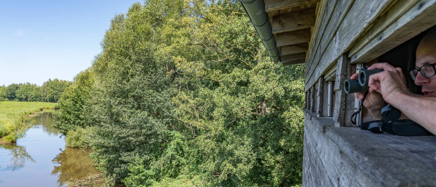 Aussichtsturm am Steinhorster Becken Ein hölzerner Aussichtsturm bietet Blick auf Flusslandschaft mit dichtem grünen Baumbestand.