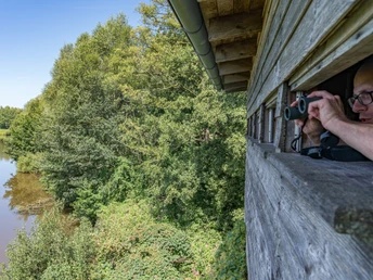 Aussichtsturm am Steinhorster Becken Ein hölzerner Aussichtsturm bietet Blick auf Flusslandschaft mit dichtem grünen Baumbestand.