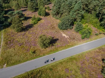 Moosheider Straße in Hövelhof Zwei Radfahrer auf einer schmalen Landstraße durchqueren ein lila blühendes Heidegebiet.