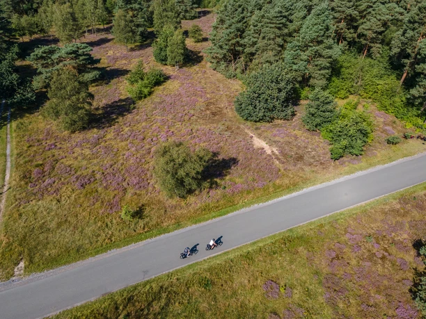 Moosheider Straße in Hövelhof Zwei Radfahrer auf einer schmalen Landstraße durchqueren ein lila blühendes Heidegebiet.