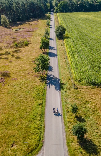Luftaufnahme einer Straße in Hövelhof, flankiert von blühender Heide und einem grünen Feld.