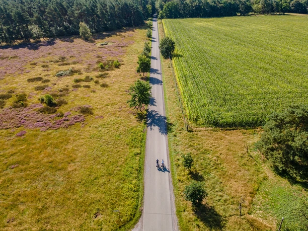 Moosheider Straße in Hövelhof Luftaufnahme einer Straße in Hövelhof, flankiert von blühender Heide und einem grünen Feld.