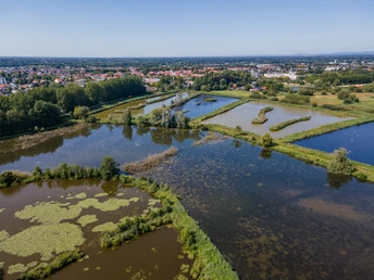 Rietberger Fischteiche Luftbild von Naturteichen in einer grünen Landschaft bei Hövelhof, von Bäumen und Feldern umgeben.
