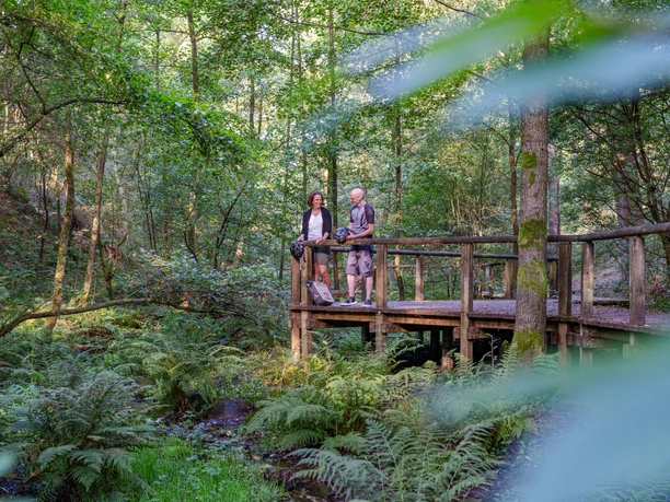 Ein älteres Paar genießt einen ruhigen Moment auf einem Holzsteg in einem dichten Waldgebiet.