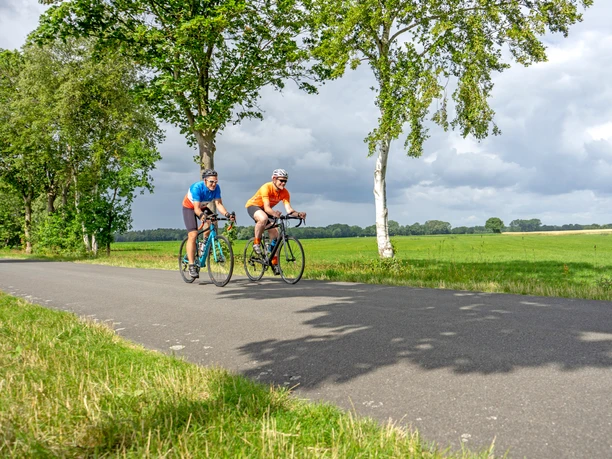Unterwegs durch die Gnarrenburger Landschaft Unterwegs durch die Gnarrenburger Landschaft