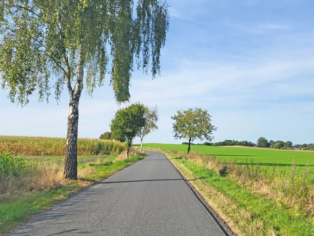 Asphaltierte Straße über einen kleinen Anstieg bei Oese Asphaltierte Straße über einen kleinen Anstieg bei Oese