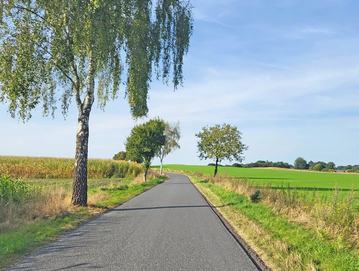 Asphaltierte Straße über einen kleinen Anstieg bei Oese Asphaltierte Straße über einen kleinen Anstieg bei OeseAsphalted road over a small climb near OeseAsfaltvej over en lille stigning nær OeseAsfaltweg over een klein klimmetje bij Oese