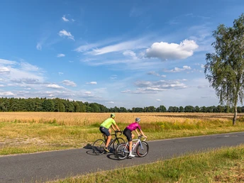 Rennradtour vorbei an einem Kornfeld Rennradtour vorbei an einem KornfeldRoad bike tour past a cornfieldLandevejscykeltur forbi en kornmarkRacefietsen langs een maïsveld