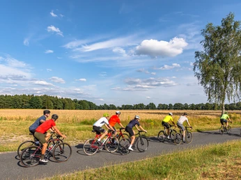 Rennradgruppe unterwegs auf einer von Kornfeldern umsäumten Straße Rennradgruppe unterwegs auf einer von Kornfeldern umsäumten StraßeRacing bike group on a road surrounded by cornfieldsRacercykelgruppe på en vej omgivet af majsmarkerRacefietsgroep op een weg omgeven door korenvelden