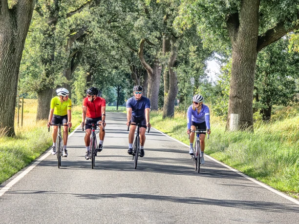 Idyllische Eichenalle - eine von vielen im Landkreis Rotenburg (Wümme) Idyllische Eichenalle - eine von vielen im Landkreis Rotenburg (Wümme)