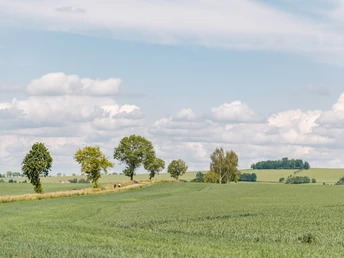 Auffahrt zur Radewitzer Höhe