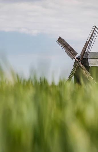 Bockwindmühle Ebersbach