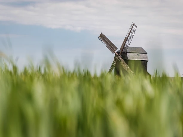 Bockwindmühle Ebersbach