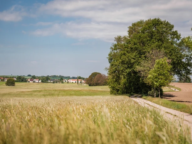 Pflege-Weg zwischen Radeburg und Ebersbach