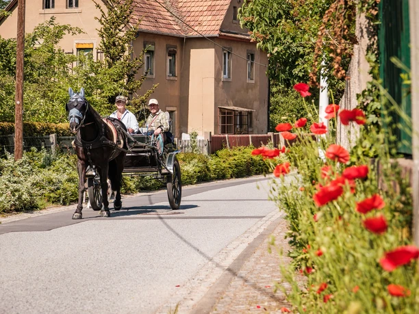 Pferdewagen in Naunhof