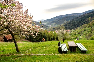 Forbach-Langenbrand-Ausblick Rastplatz Talblick