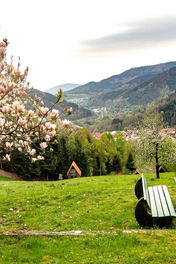 Forbach-Langenbrand-Ausblick Rastplatz Talblick