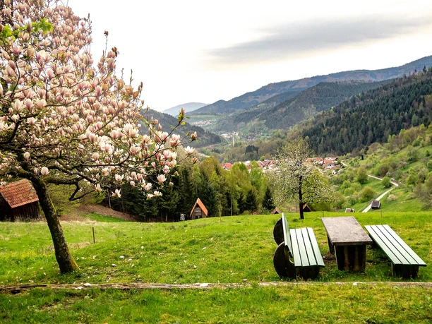 Forbach-Langenbrand-Ausblick Rastplatz Talblick